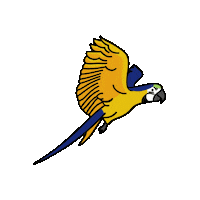 Foz Do Iguacu Sport Sticker by Parque das Aves