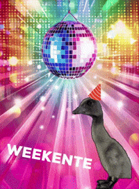 Party Weekend GIF