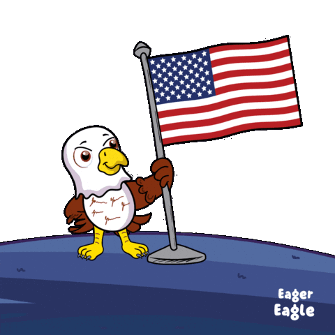 Day Usa Sticker by VeeFriends