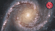 Stars Glowing GIF by ESA/Hubble Space Telescope