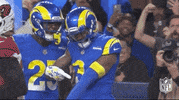 Los Angeles Rams Football GIF by NFL