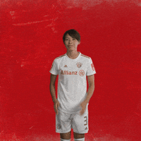 Champions League Bundesliga GIF by FC Bayern Women