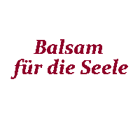 Events Waffle Sticker by diekleinewaffelbar