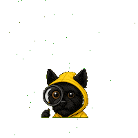 Looking What Are You Doing Sticker by Terry Toto