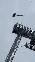 Jacksonville Football Mascot's Bungee Stunt Goes Wrong During Home Game