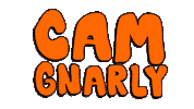 Cam Ie Sticker by deladeso