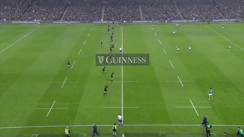 all blacks rugby GIF