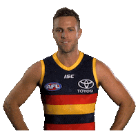 sticker afl by Adelaide Crows