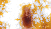 Tripping Hell Yeah GIF by Peacock