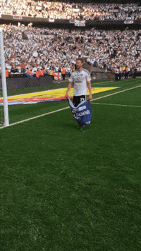 Wembley Stadium Football GIF by Fulham FC