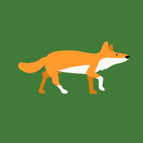 Fox Wildlife GIF by stopmotreats