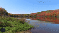 Wisconsin Woman Captures Stunning Fall Colors at Upson Lake