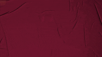 College Baseball GIF by Pearl River Athletics