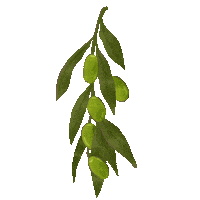 Plant Oil Sticker by Agricamper
