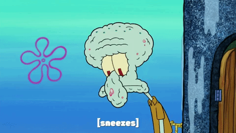 season 9 sanctuary GIF by SpongeBob SquarePants