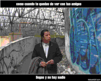 hay GIF
