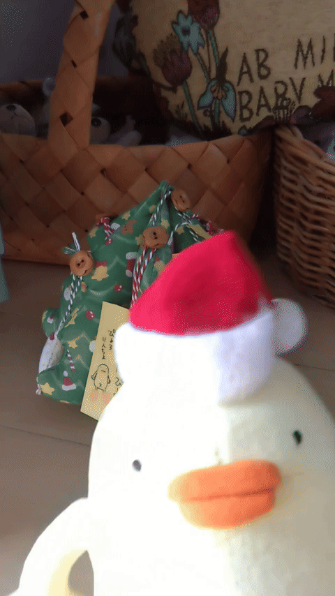 ぬいぐるみのぴよクラウドファンディングを売り込むぴよ