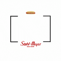 stahlmeyer  GIF