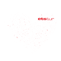 Wedding Marriage Sticker by Etstur