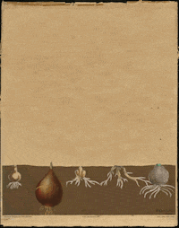 Illustration Flowering GIF by GIF IT UP