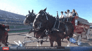 Car Racing Sport GIF by NASCAR