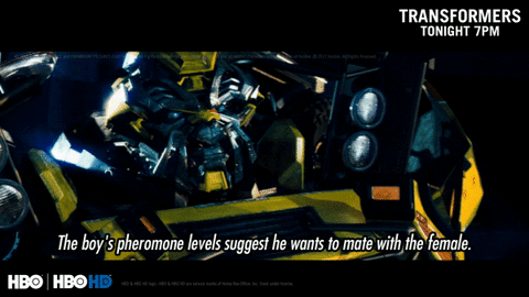 transformers GIF by HBO India