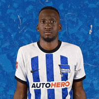 No Way Bundesliga GIF by Hertha BSC