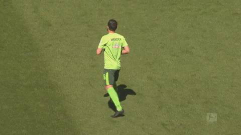 bundesliga werder GIF