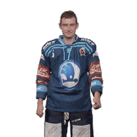 Hockey Thumbs Up Sticker by HC Škoda Plzeň