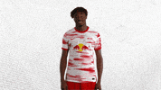 Football Hello GIF by RB Leipzig
