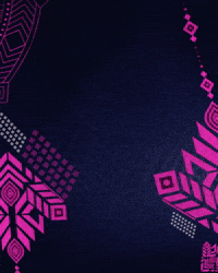 Halla Bol Celebration GIF by Rajasthan Royals