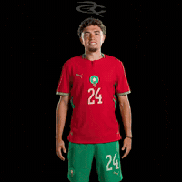 Fifa World Cup Morocco GIF by Respective