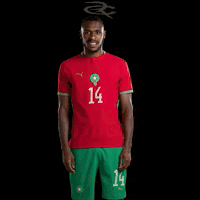 Fifa World Cup Morocco GIF by Respective