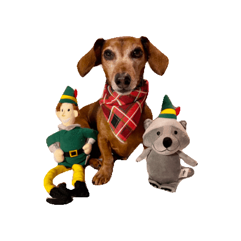 Buddy The Elf Sticker by Geekster Pets