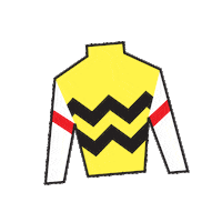 Horse Racing Sticker by Kentucky Derby