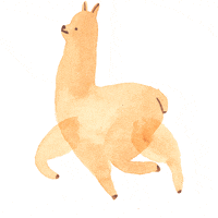llama alpaca GIF by Christina Lu