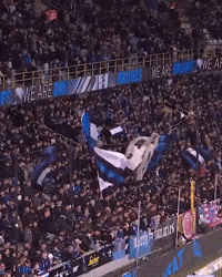 Fans GIF by Club Brugge