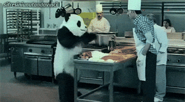 pizza panda GIF