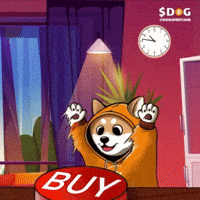 Dogofbitcoin dog runestone dog bitcoin dogofbitcoin GIF