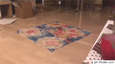 giphyupload GIF
