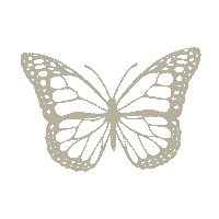 trulyblessedjewels pretty butterfly tbj truly blessed jewels Sticker