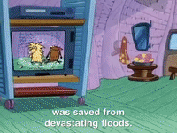 nickrewind nicksplat angry beavers GIF