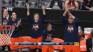 celebrate connecticut sun GIF by WNBA