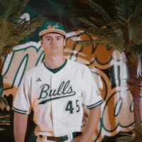 South Florida Baseball GIF by USF Athletics