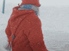 santa claus office hello GIF by The Elves!