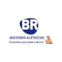 BRMOTORES  Sticker