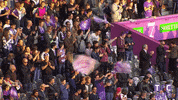 ligue 1 applause GIF by Toulouse Football Club