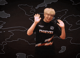 Happy Video Games GIF by 100 Thieves