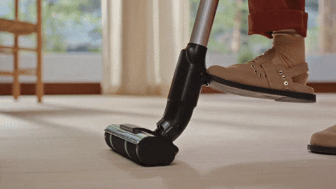 jadedlin giphyupload GIF