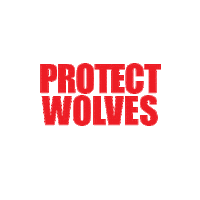 Dogs Wolf Sticker by Wolves of the Rockies